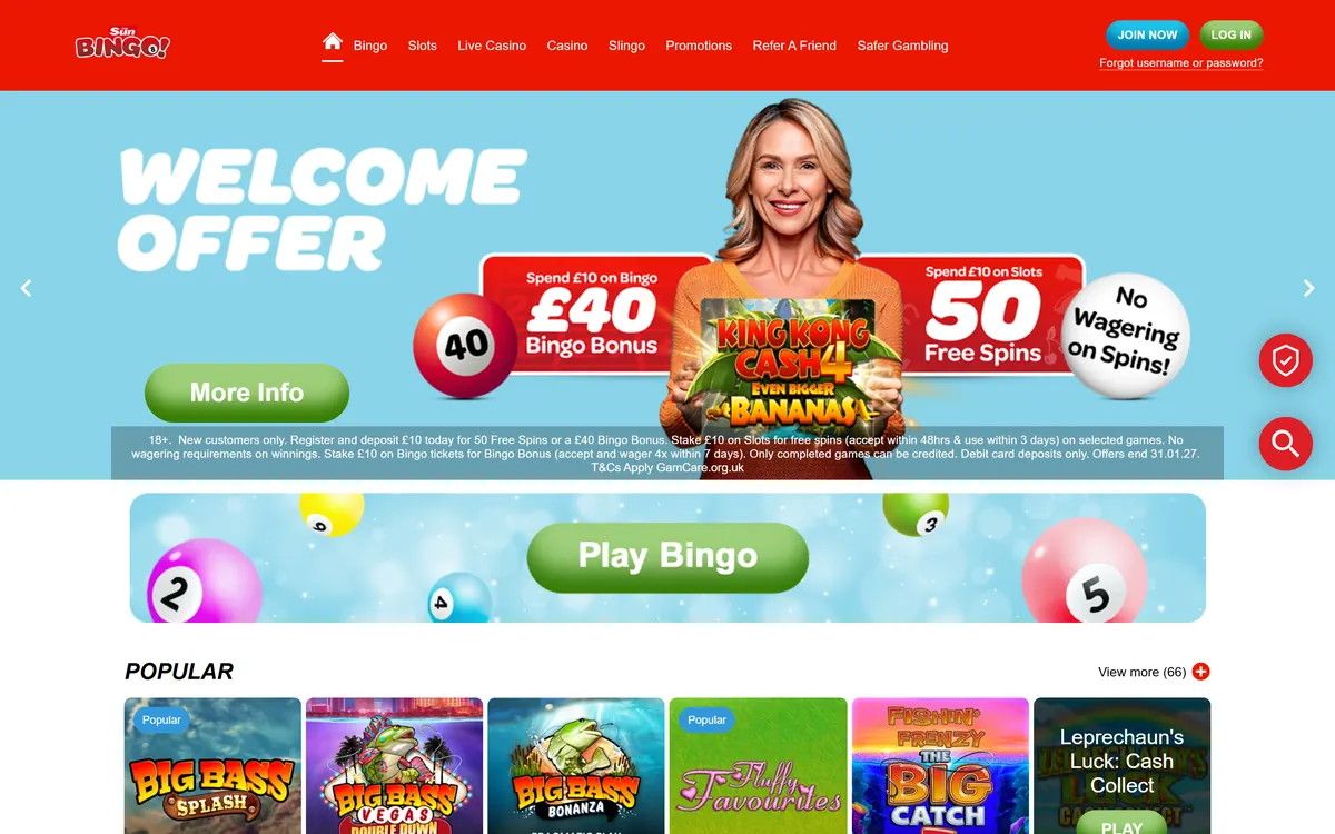 sunbingo.co.uk homepage: a red bar with the Sun Bingo logo, a menu from Bingo to Safer Gambling and a LOG IN button, a Play Bingo banner with bingo balls.